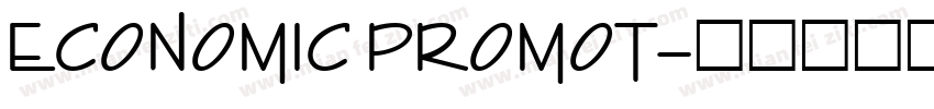 ECONOMIC PROMOT字体转换